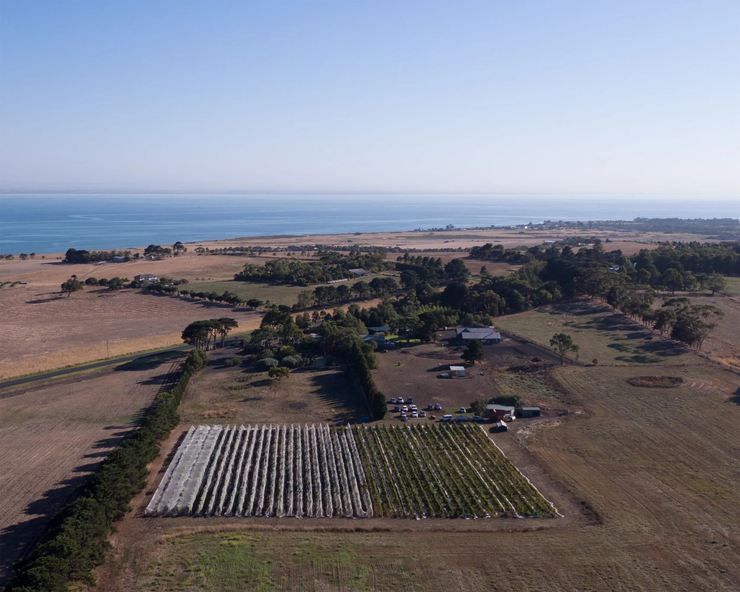 Hat Rock Vineyard